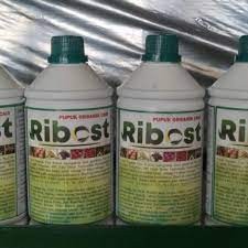 RIBOST 1L HIJAU