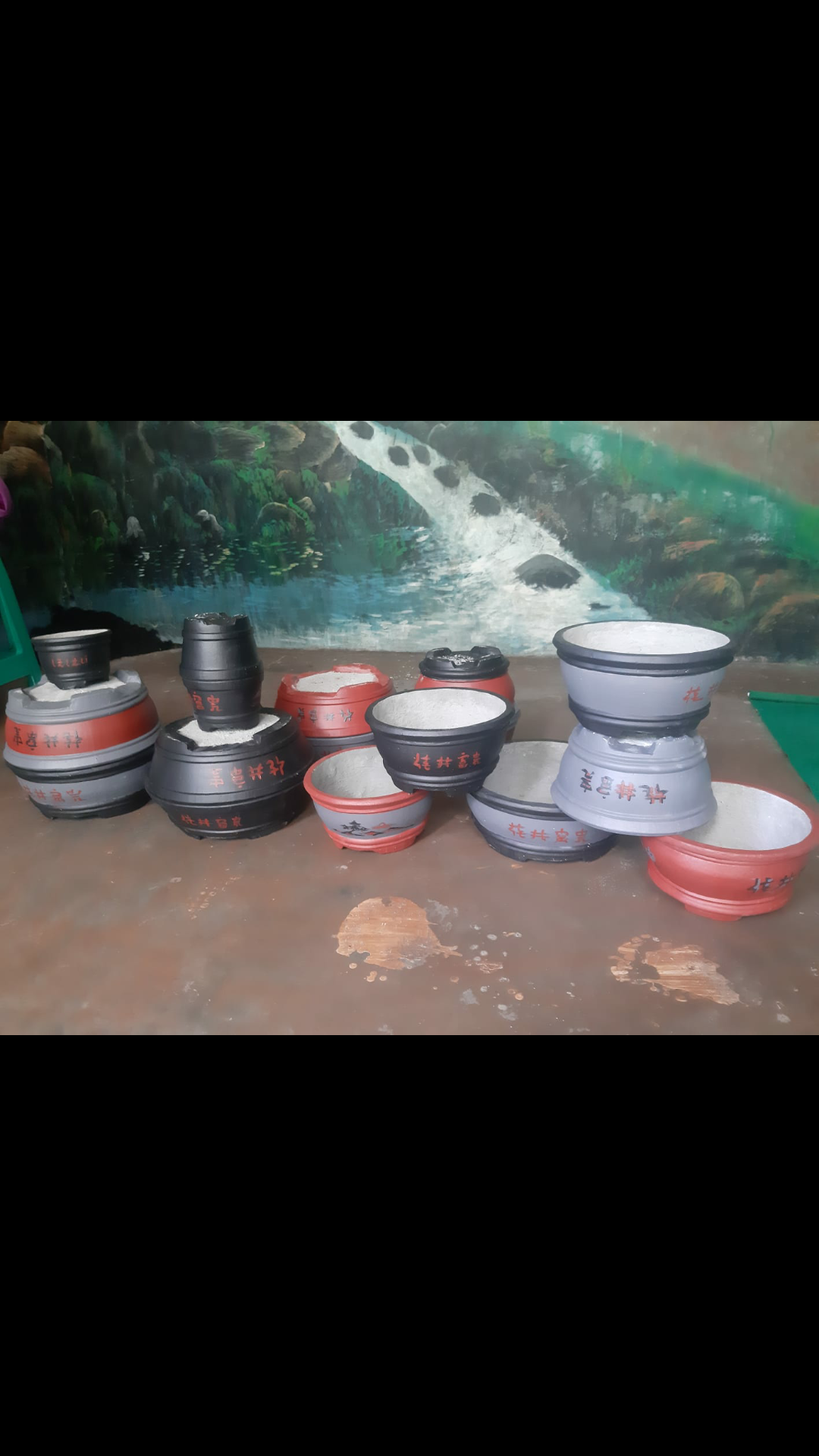 Pot bonsai dan sansei