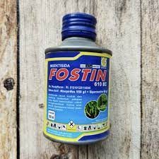 FOSTIN 100ML