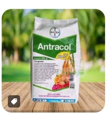 Antracol 1 kg