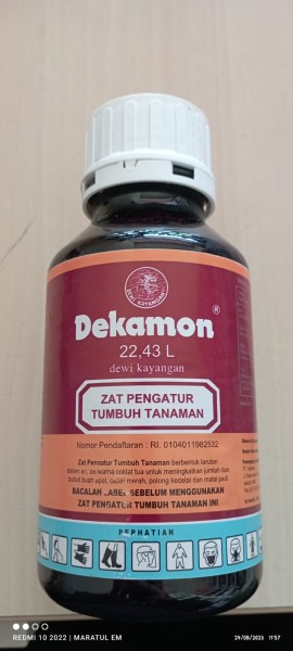 Dekamon 22,43 L