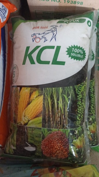 PUPUK KCL