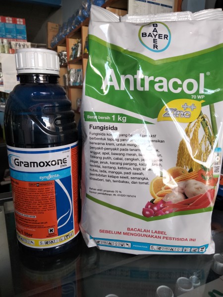 Antracol