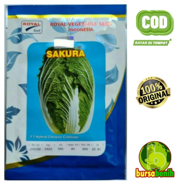 BIJI SAWI PUTIH SAKURA