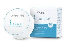 Wardah Acnederm Pore Blackhead Balm 20gr