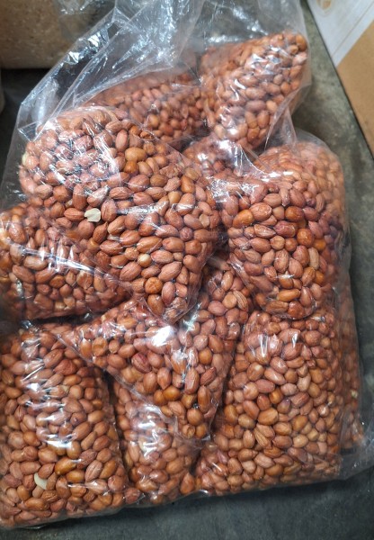 Kacang tanah
