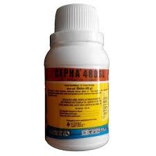 CEPHA 100ml