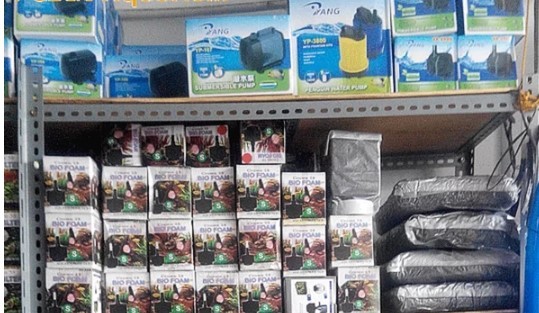 Paket Dagangan Toko Aquarium