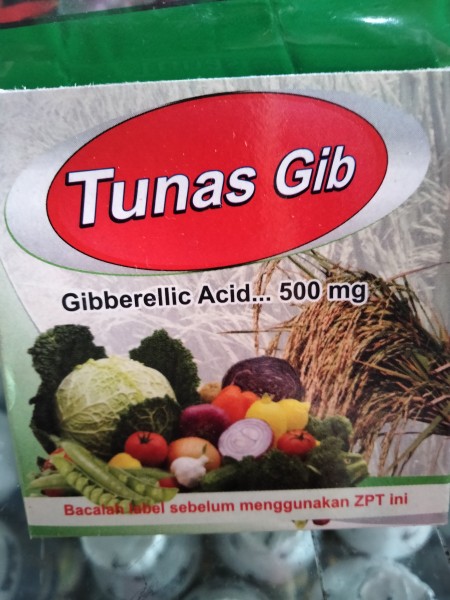tunas gib