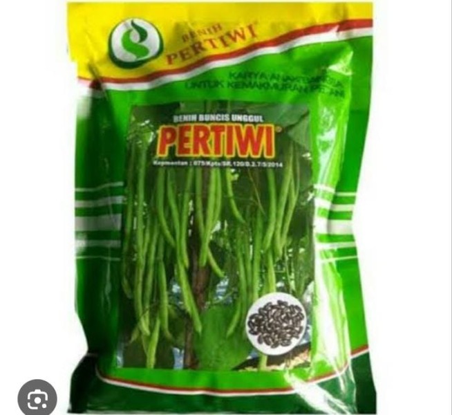 bibit buncis Pertiwi