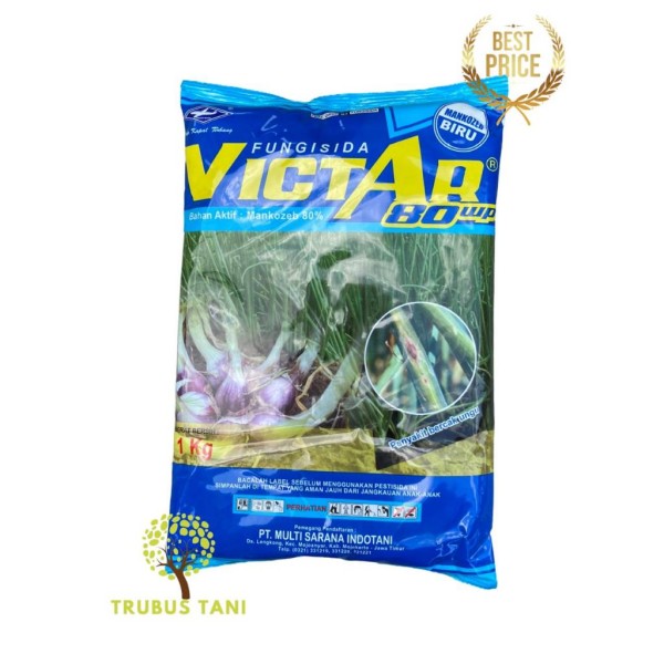 FUNGISIDA - VICTAR 80WP - 1KG - CAP KAPAL TERBANG