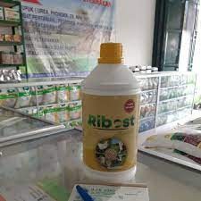 RIBOST 1L KUNING