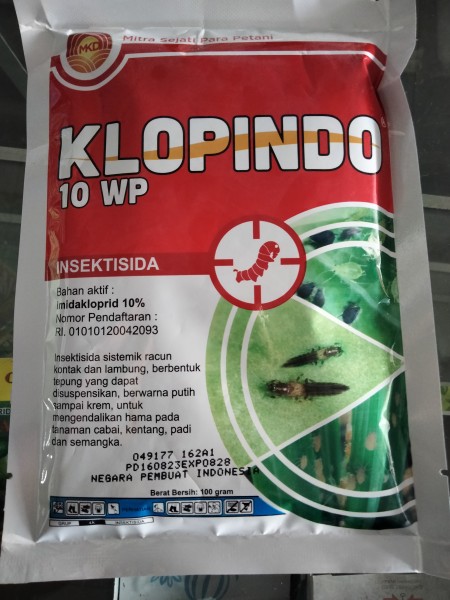 Klopindo Kecil 100 gram