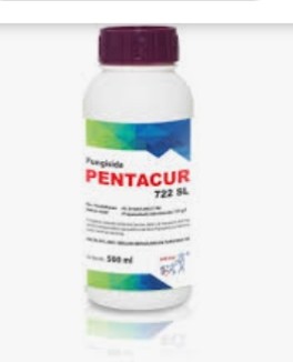 Pentacur