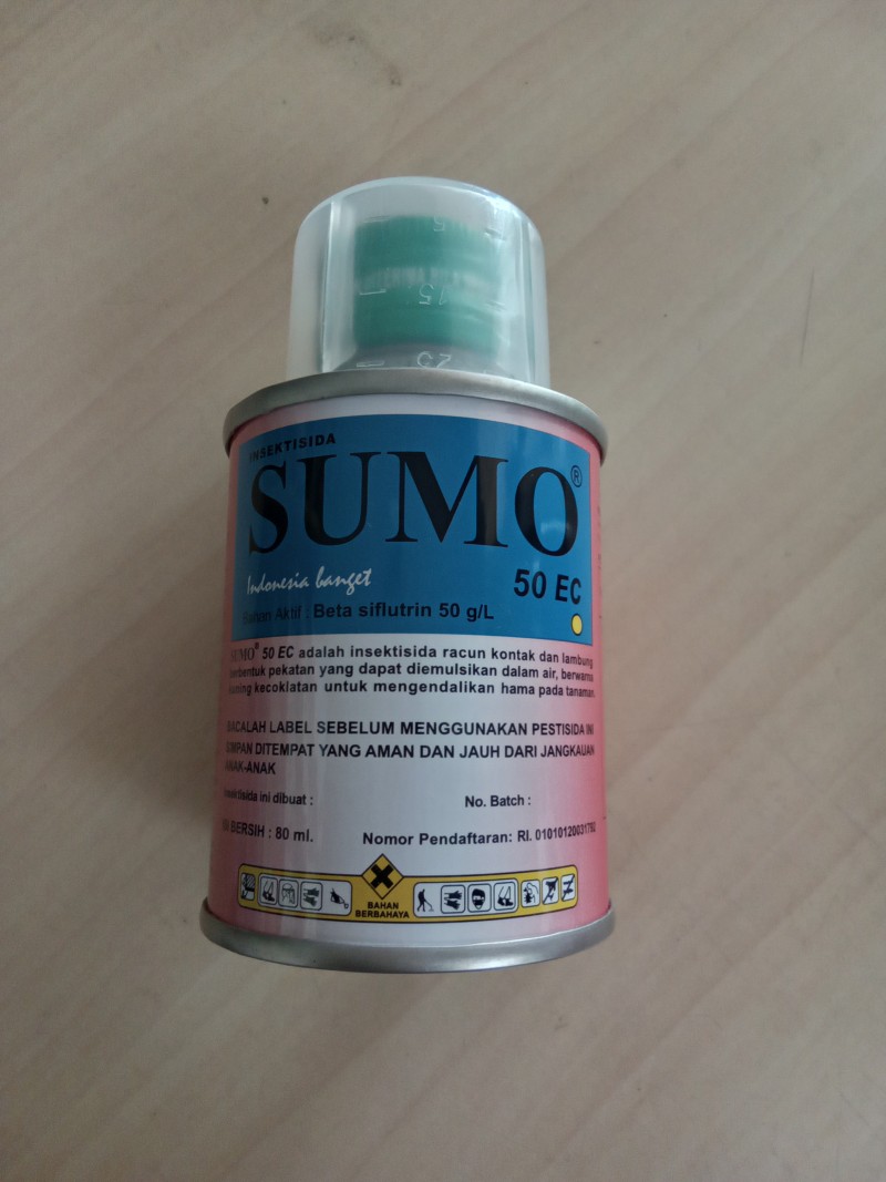 Sumo 80 ml