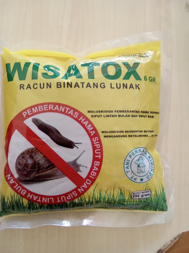 WISATOX 6GR