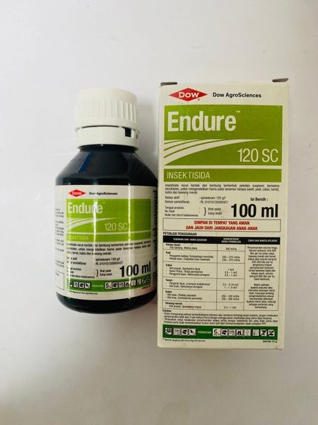 ENDURE 100ML