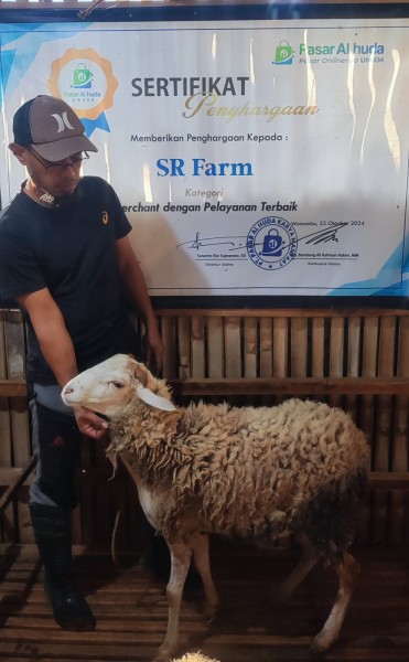kambing qurban SRE 1
