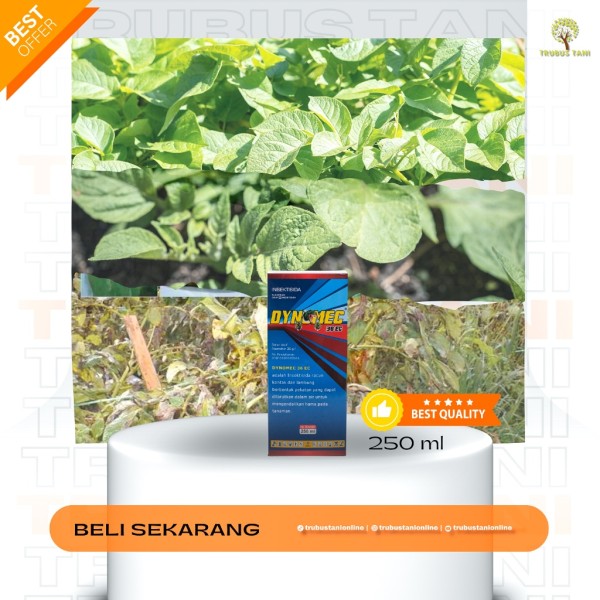 INSEKTISIDA ABAMECTIN - DYNOMEC 36EC - 250ML PANEN RAYA