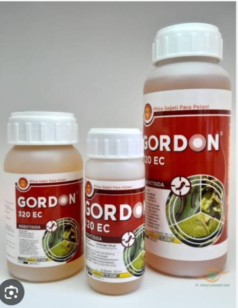 Gordon 100 ml
