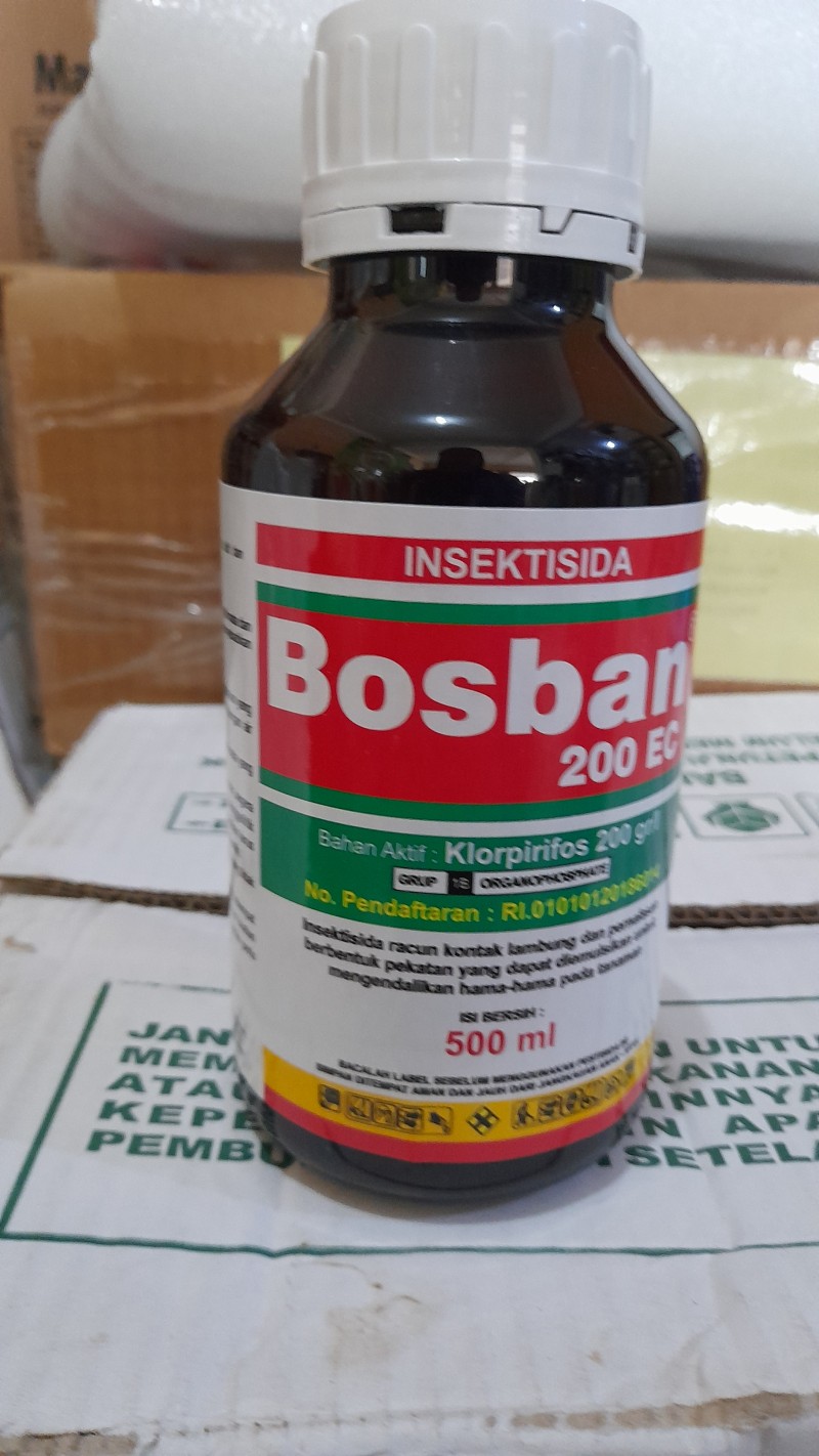 Bosban