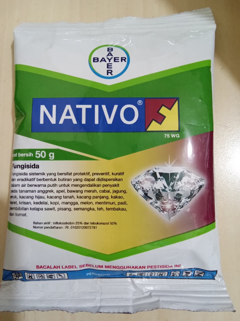 Nativo