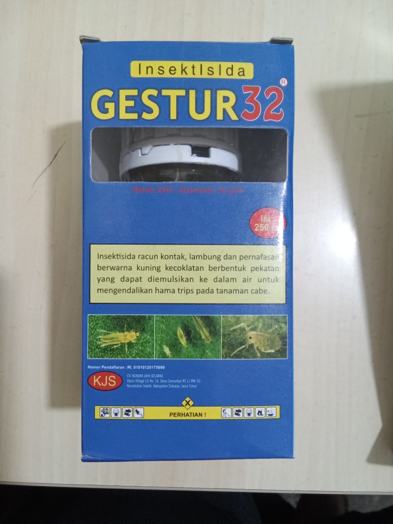 Gestur