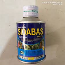SIDABAS 100ML
