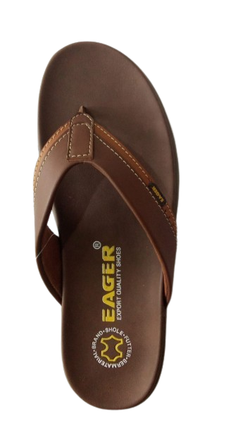 SJ EAGER BL 498 D.BROWN