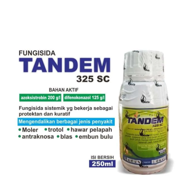 Tandem 250ml