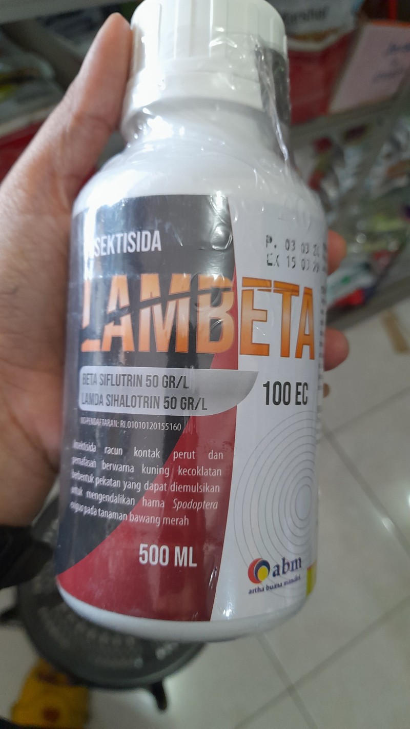 Lambeta