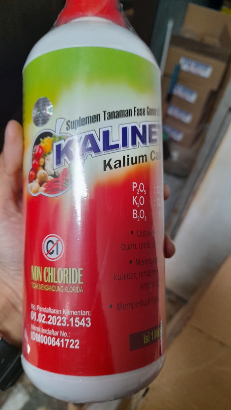 Kalinet