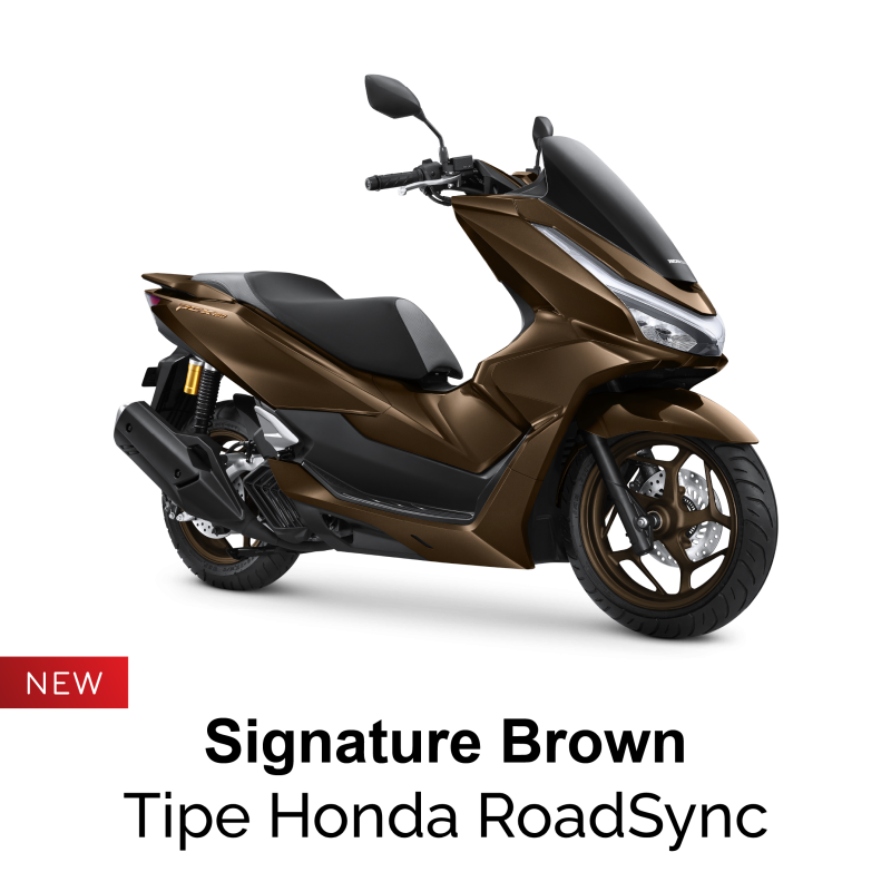 PCX 160 Roadsync