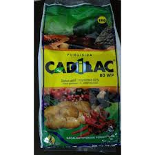 cadilac 1kg