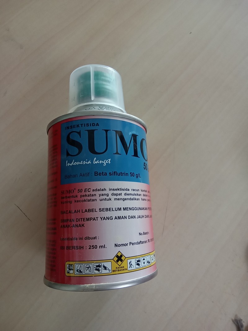 Sumo 250 ml