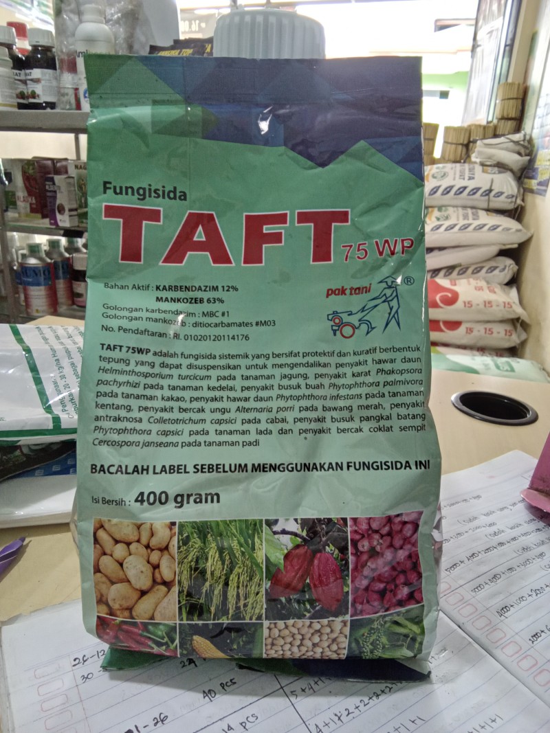 Taft 400 gr