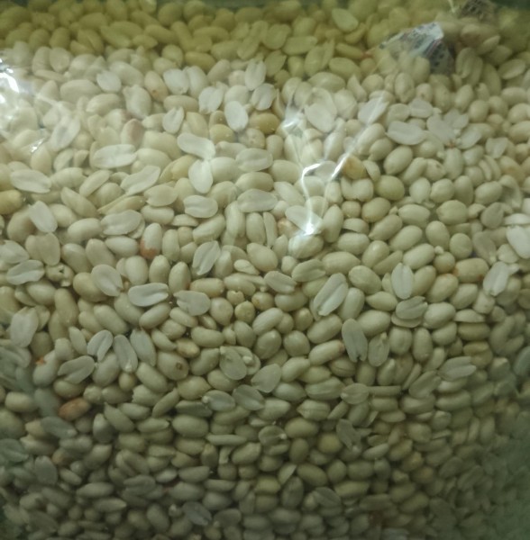 Kacang Bawang Mentah