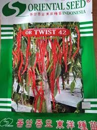 OR-TWIST 42