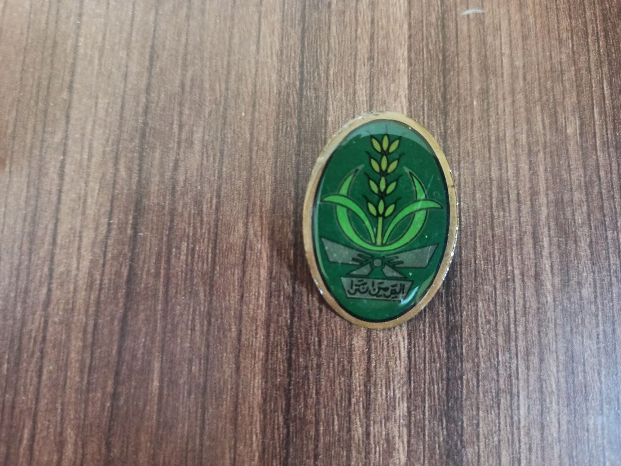 Pin Nasyiatul Aisyiyah