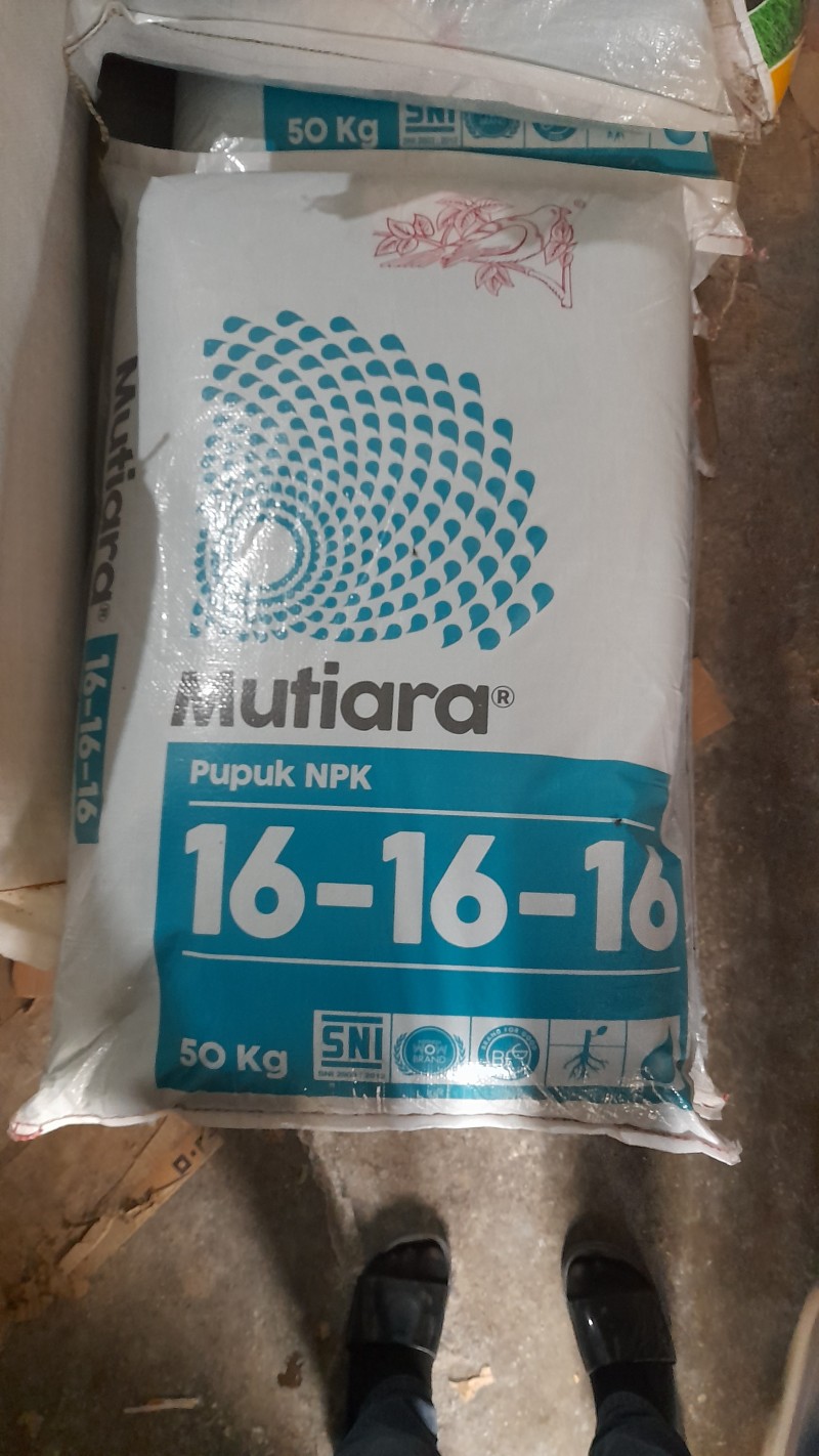 Mutiara