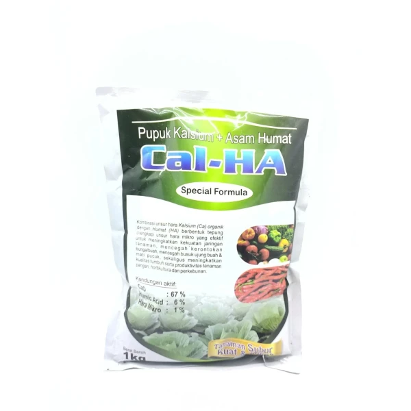 Pupuk kalsium + asam humat