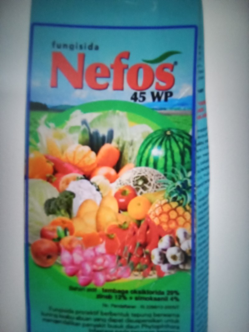 Nefos 45wp