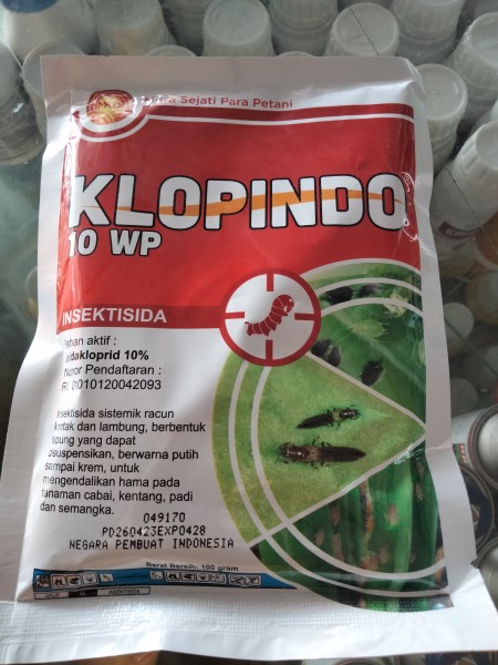 Klopindo