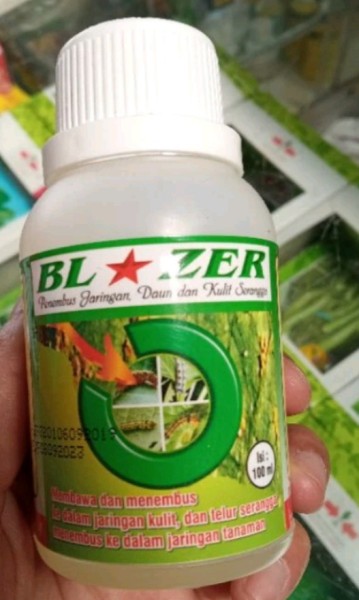 Perekat dan penembus jaringan daun Blazer