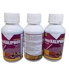JAVA KALIPHOS 500 ml