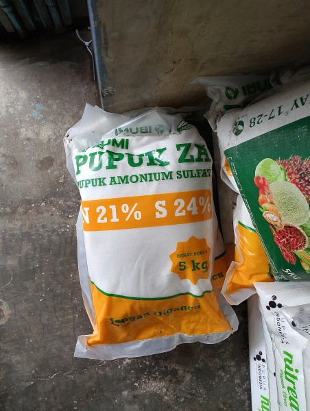 Pupuk amonium za