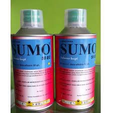SUMO 500 ML