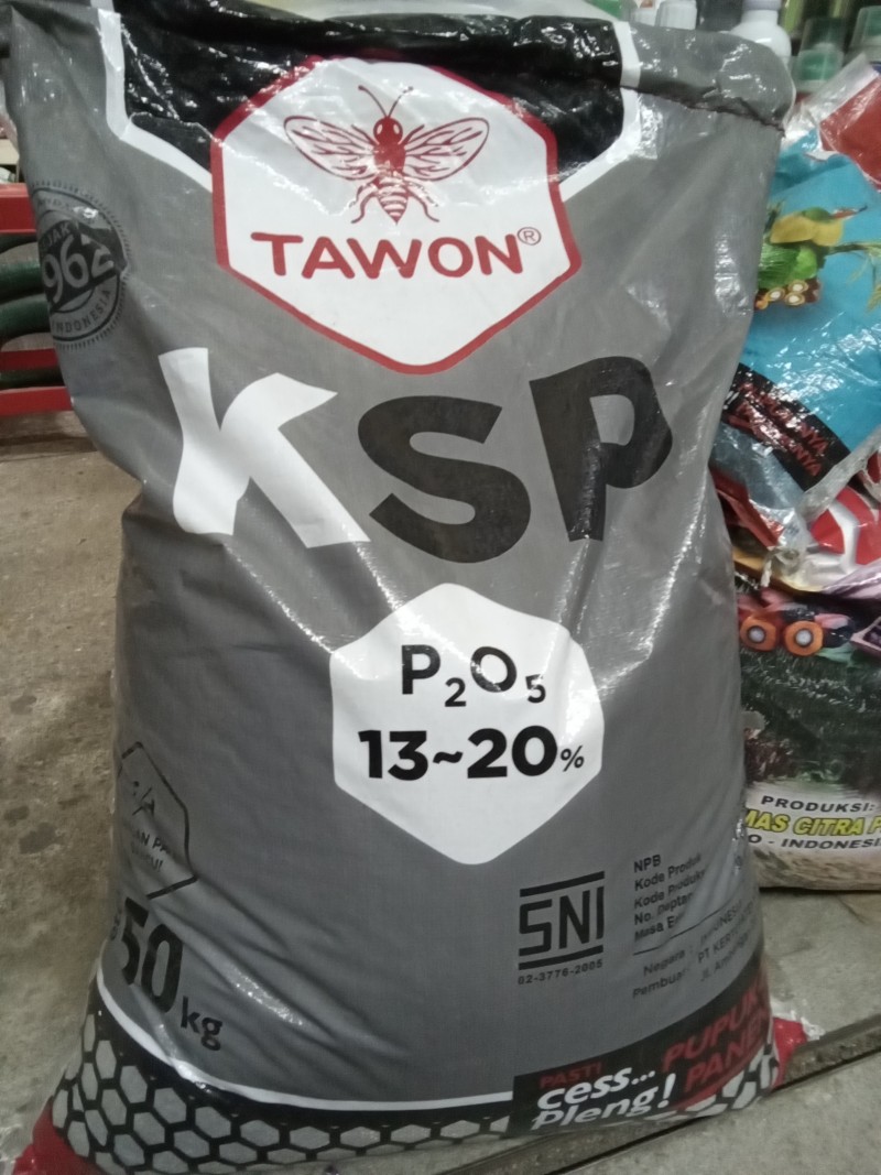 Ksp tawon