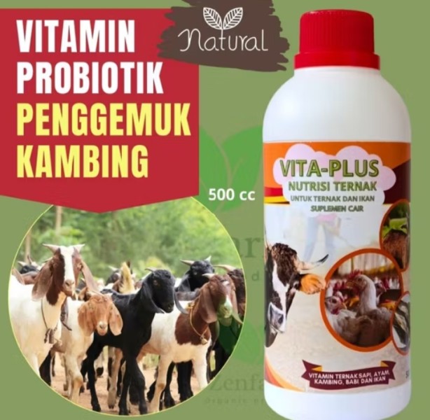 Vitamin kambing