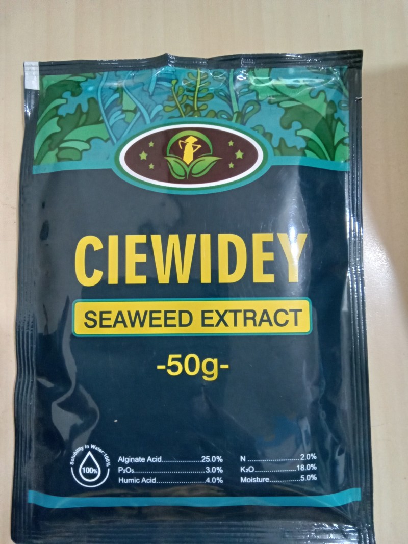 Ciewidey